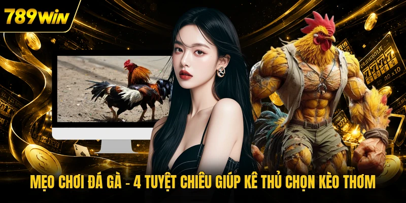 Mẹo Chơi Đá Gà