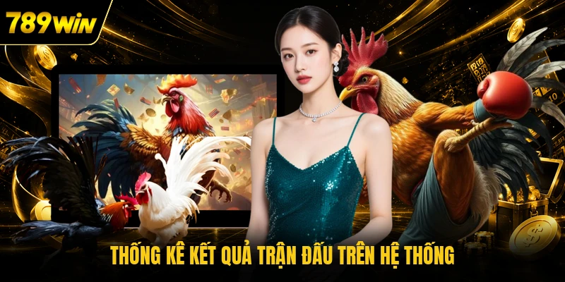 Thống kê kết quả trận đấu trên hệ thống